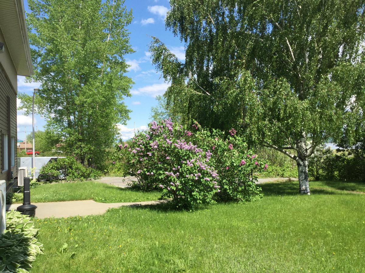 Motel Et Condo Chez Charley Sainte-Anne-de-Beaupré Екстериор снимка