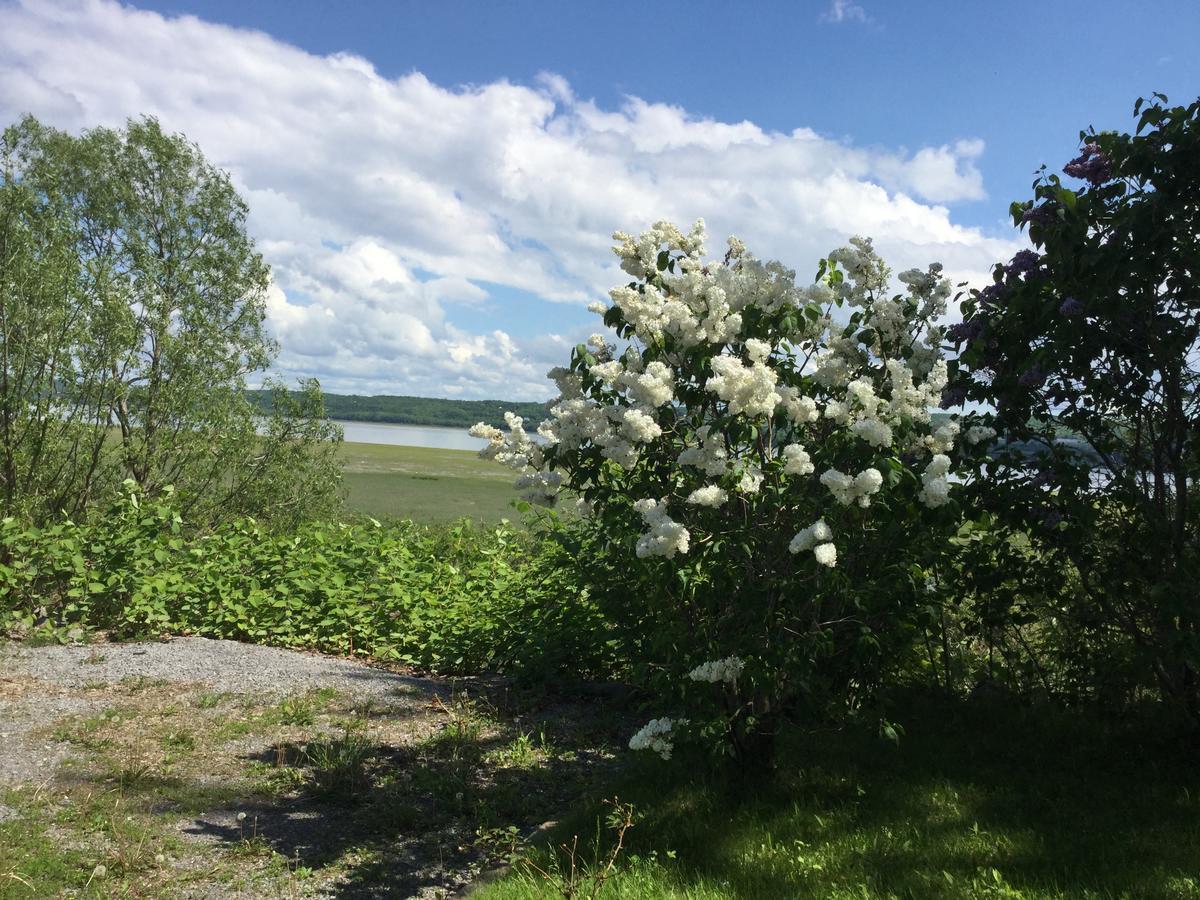 Motel Et Condo Chez Charley Sainte-Anne-de-Beaupré Екстериор снимка